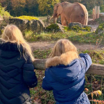 Zoo Amneville zwei Kinder mit Elefant