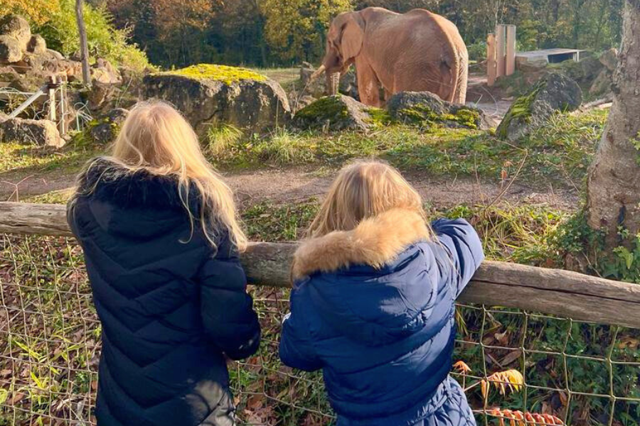 Zoo Amneville zwei Kinder mit Elefant