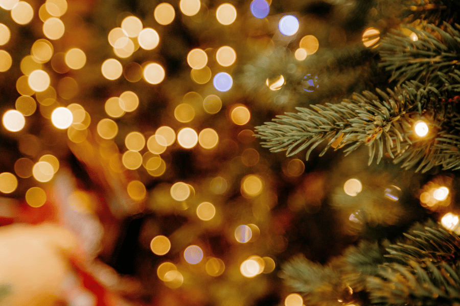 Ein Tannenzweig vor festlicher Beleuchtung