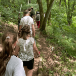 Menschen laufen einen Waldweg entlang